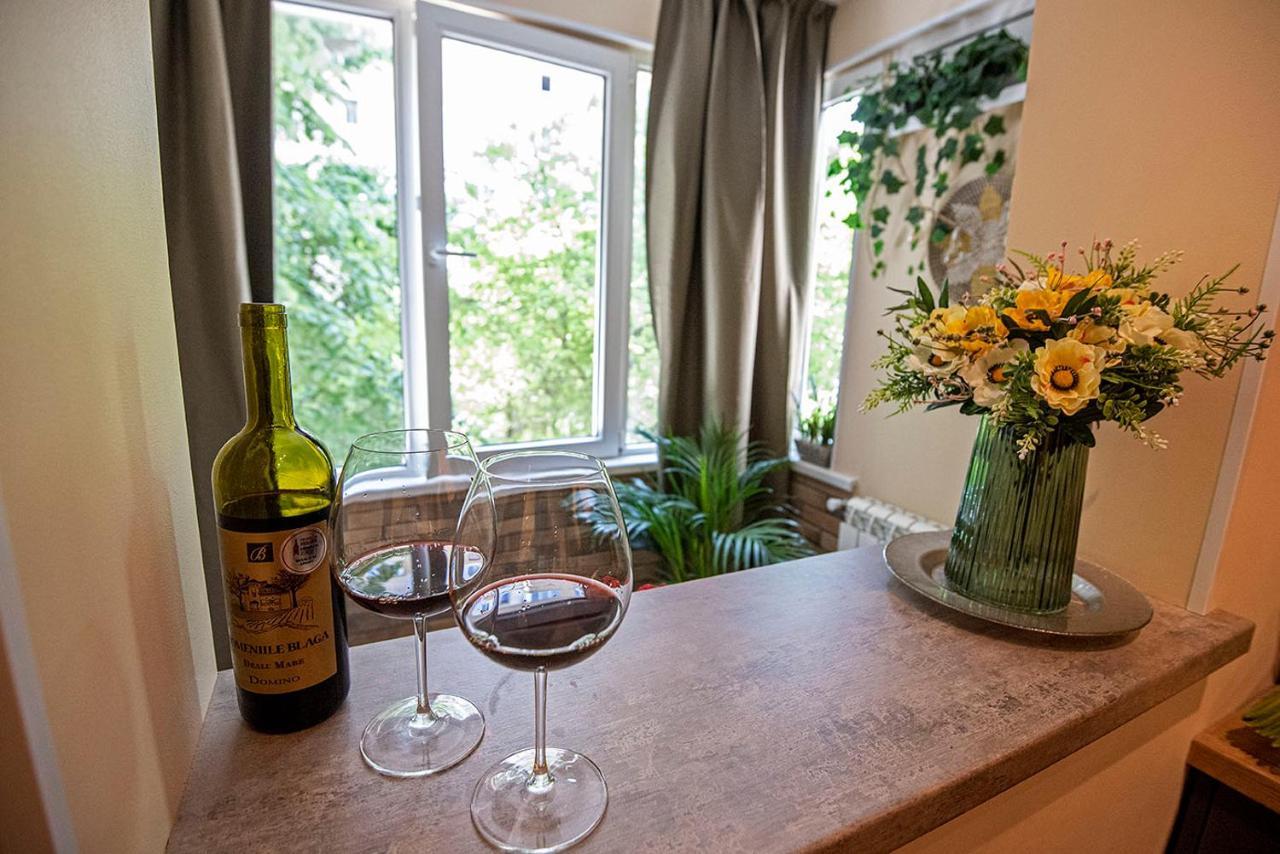 Awesome Apartment ブカレスト エクステリア 写真
